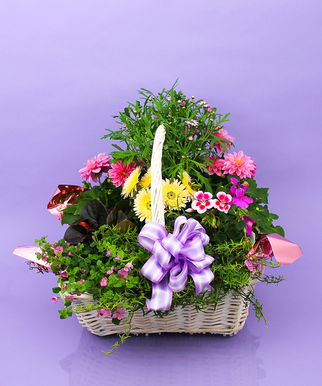 Plant colors and varieties vary based on availability.  Approximate sizes:  Regular 14x14H  Deluxe 18Wx18H