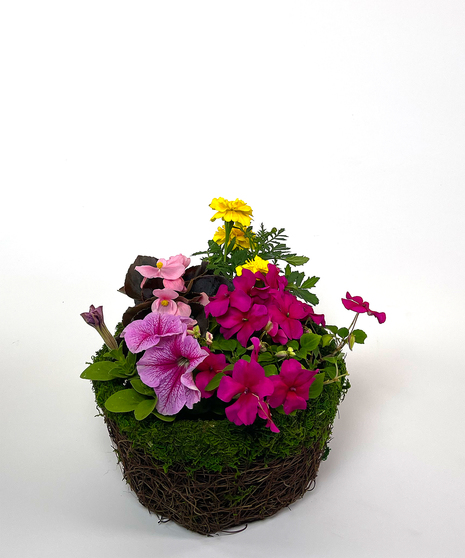 Mother's Day Annual Basket - Same Day Delivery, Danvers, MA