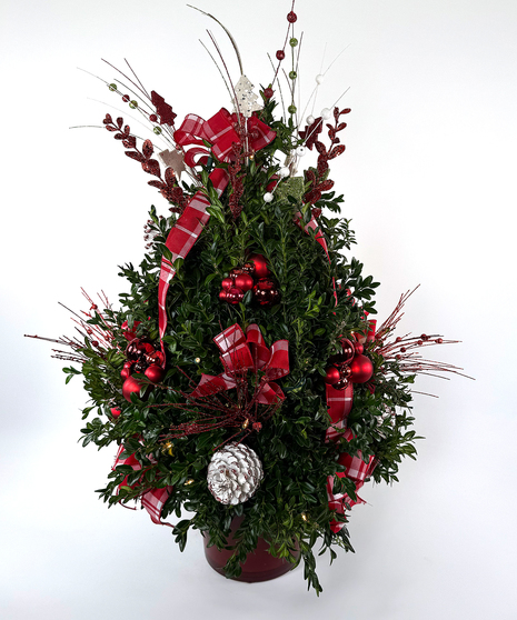 We've taken the finest premium boxwood tips from Virginia and designed a beautiful boxwood tree, then trimmed it with lights and beautiful ribbons, cones and ball clusters.