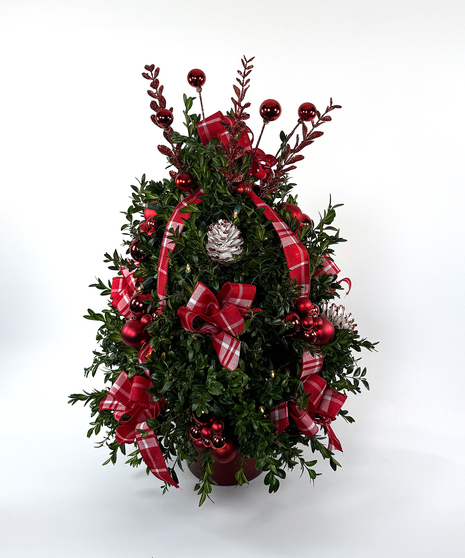 Cherry Plaid Boxwood Tree