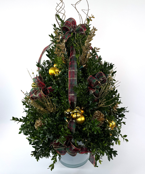 We've taken the finest premium boxwood tips from Virginia and designed a beautiful boxwood tree, then trimmed it with lights and beautiful ribbons, cones and ball clusters.