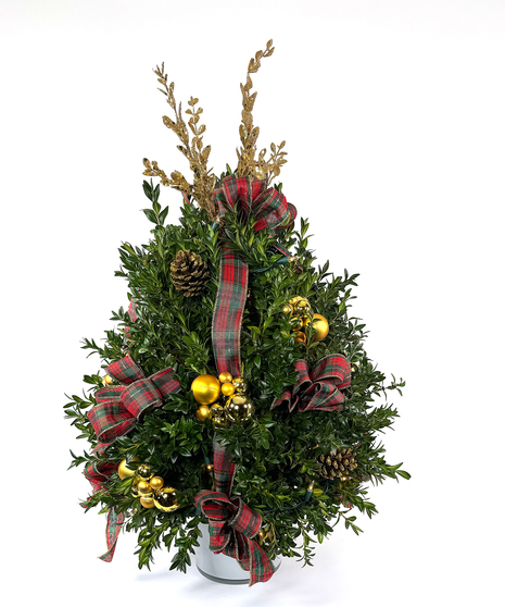 Holiday Plaid Boxwood Tree