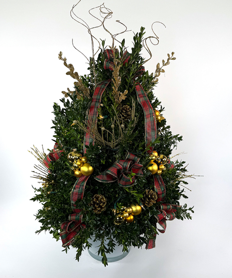 We've taken the finest premium boxwood tips from Virginia and designed a beautiful boxwood tree, then trimmed it with lights and beautiful ribbons, cones and ball clusters.