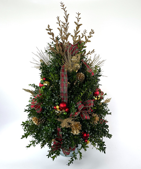 We've taken the finest premium boxwood tips from Virginia and designed a beautiful boxwood tree, then trimmed it with lights and beautiful ribbons, cones and ball clusters.