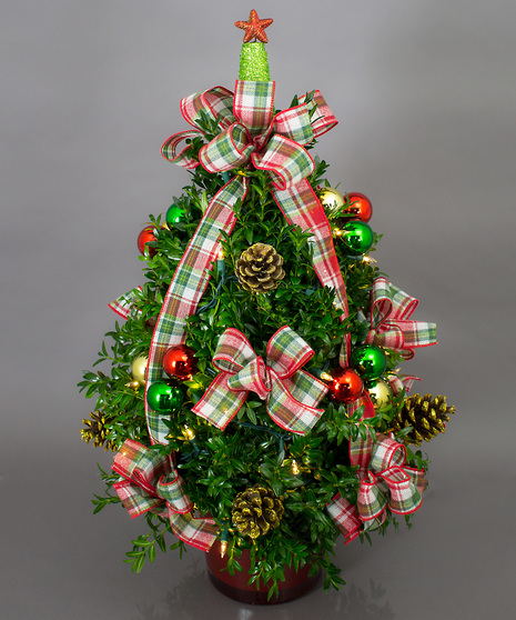 We've taken the finest premium boxwood tips from Virginia and designed a beautiful boxwood tree, then trimmed it with lights and beautiful ribbons, cones and ball clusters.