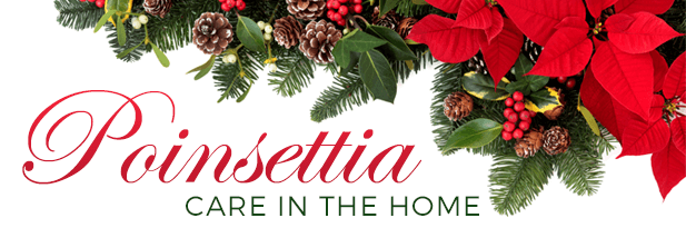 Chicago Poinsettia Care