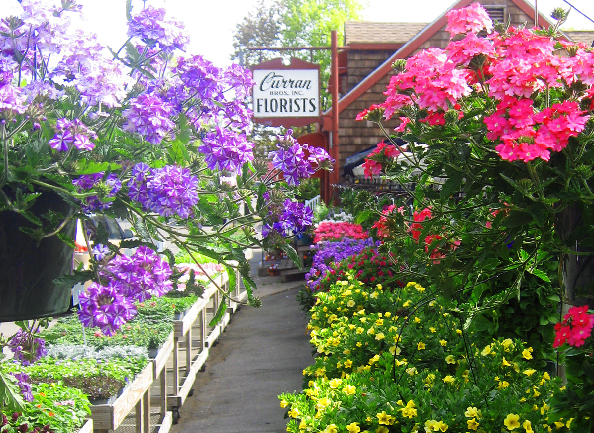 A flower-lined walkway leading to the front door of our Danvers showroom